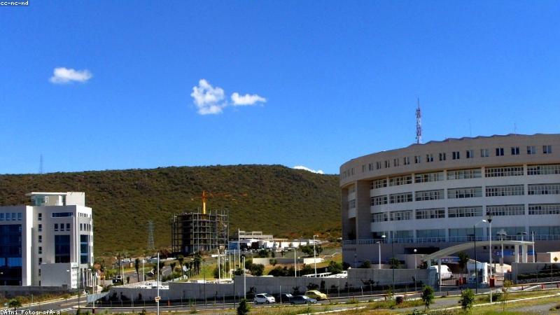 网页版免费91在线拖拽式建站编辑器界面